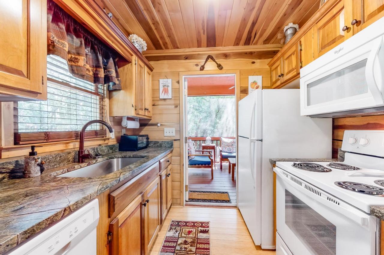 Bearry Blissful Cabin Sautee Nacoochee Dış mekan fotoğraf